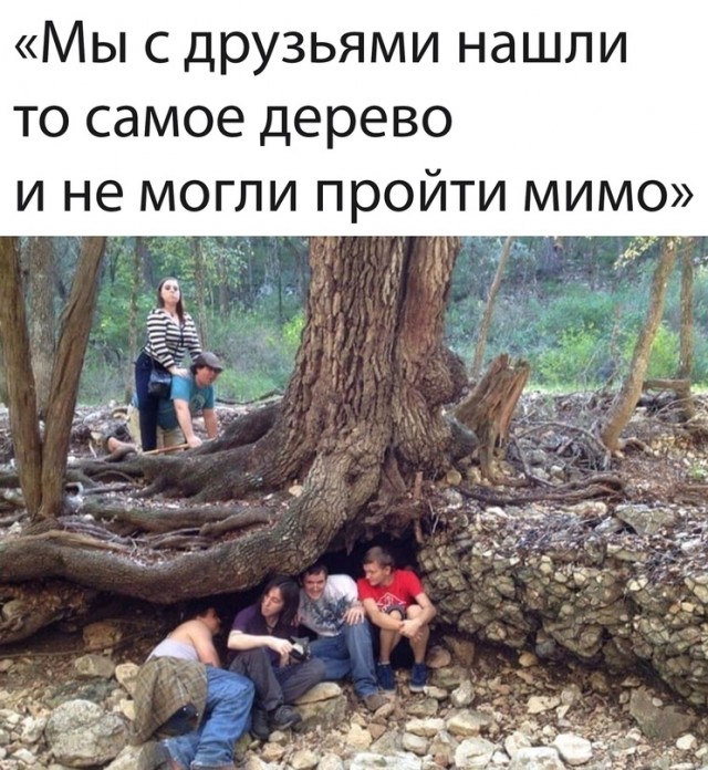 Картинки и мемы, всем прекрасных выходных