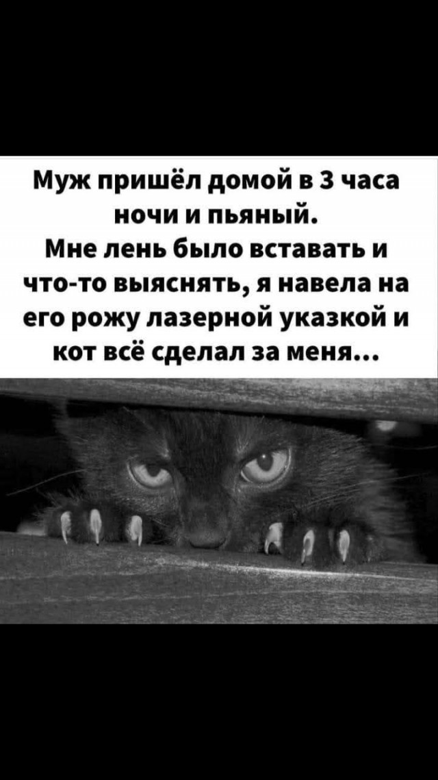 Всяческие картинки 08.11.2021