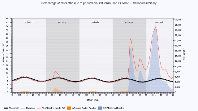 Смертельные плоды вакцинации – откровения Минздрава Великобритании