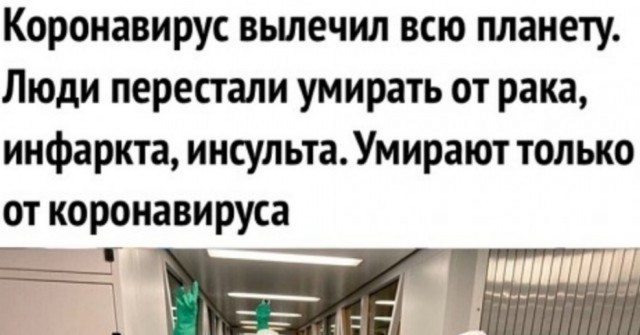 Пандемия чего?