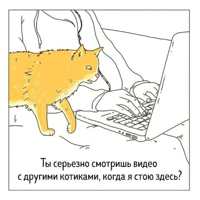 Так себе картинки 07.02.22