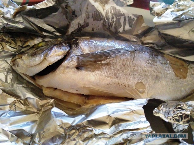 Какое счастье, что я тогда с ней развелся
