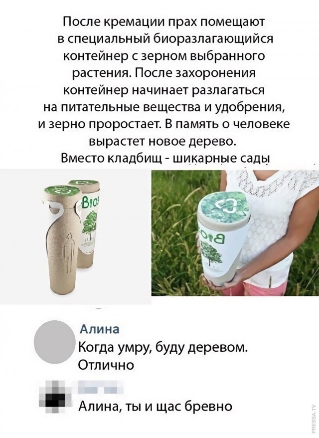 Так себе картинки 02.04.22