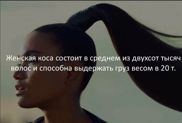 70 удивительных фактов
