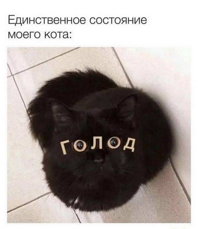 Картинки и мемы, всем хороших выходных