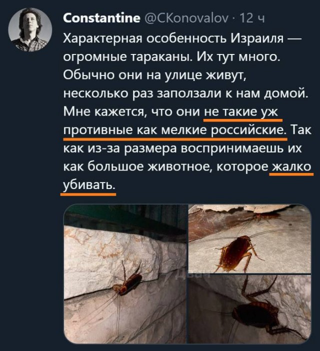 Пандемия съехавших крыш - разновидности болезни. Россия и мир. Часть 37