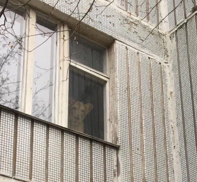 КартNнки всякие развлекательные с надписями, но в основном без