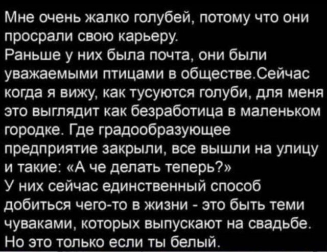 Так себе картинки 30.10.22