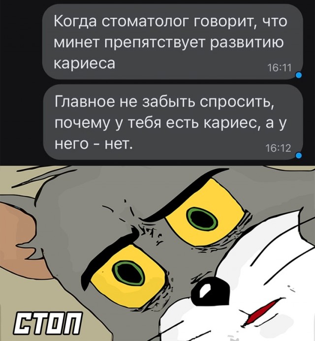 Весёлый полтишок 08.11.22