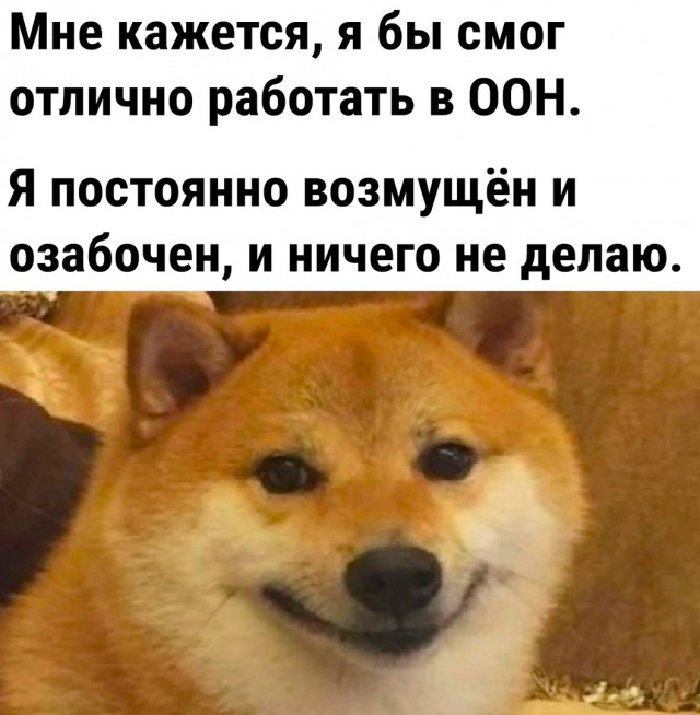 Так себе картинки 11.11.22