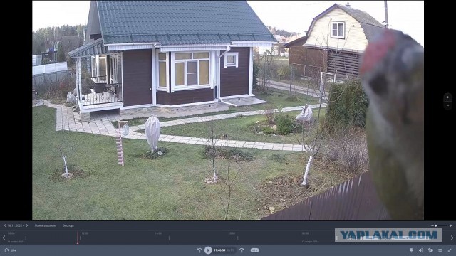 Наказывать ли женщину?