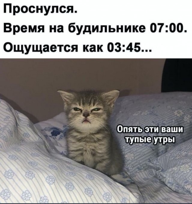 Одной дочери - образование, другой - квартиру. Младшая считает, что несправедливо