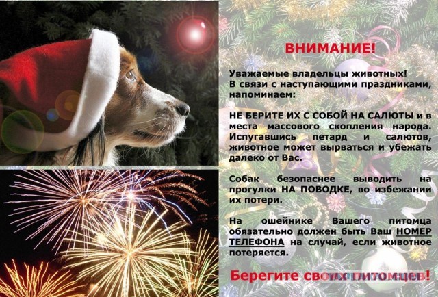 В Германии с пиротехникой все очень строго.