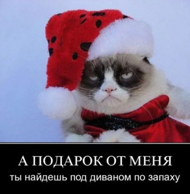 Так себе картинки 02.01.2023