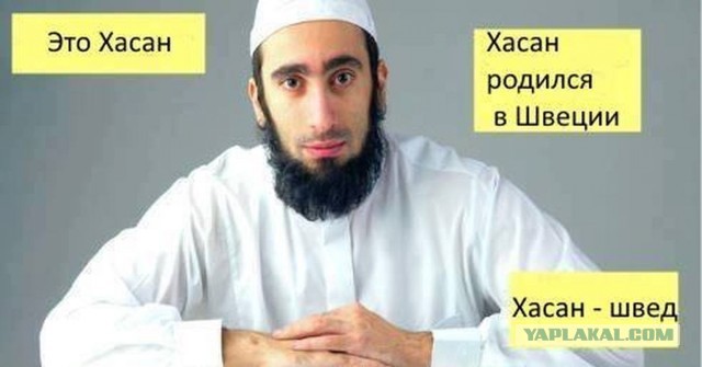 Когда начал жечь Коран в Швеции, но что-то пошло не так