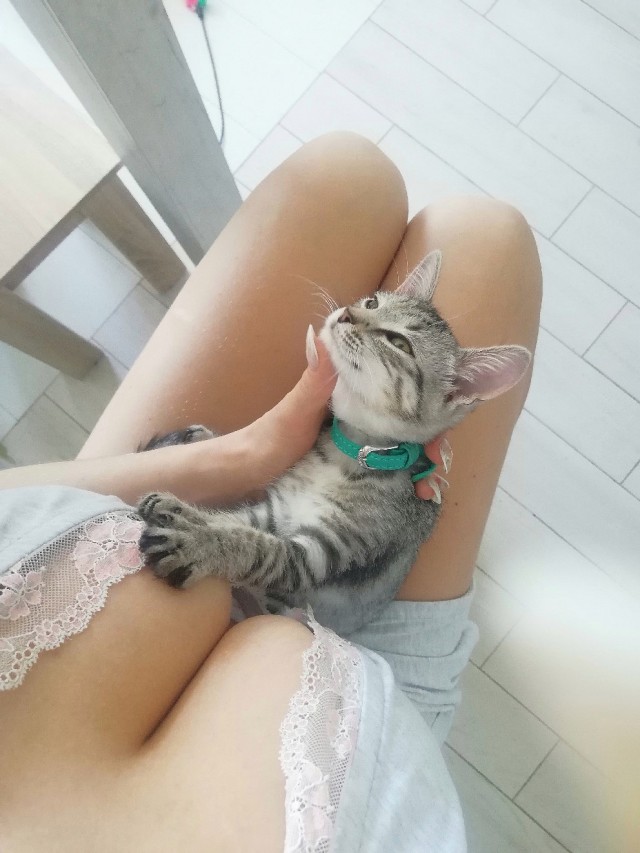 Кисковторник для взрослых