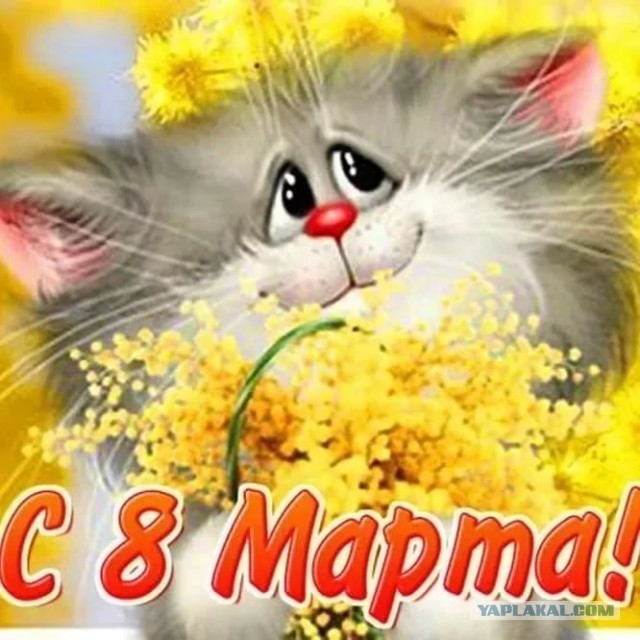 Прикольные и просто красивые картинки 07.03.2023