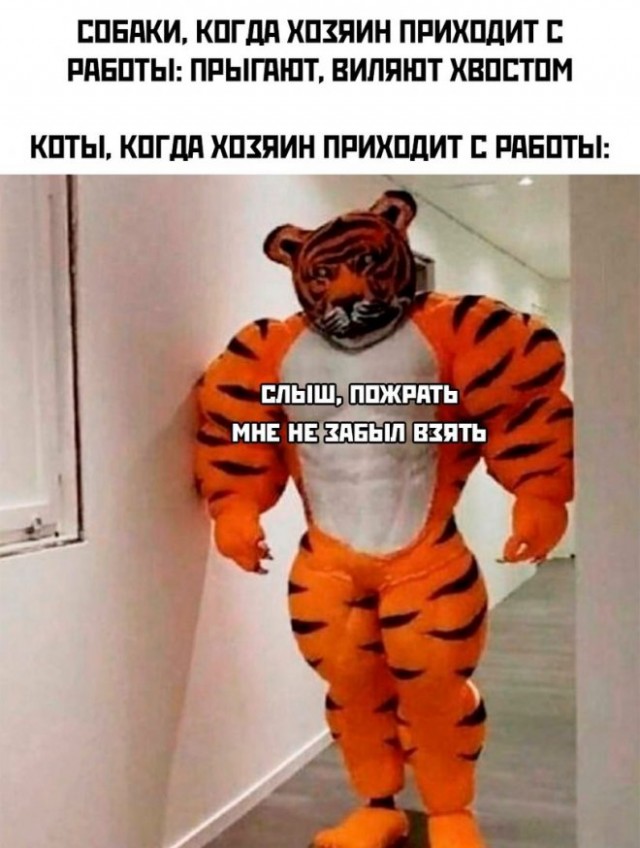 Немного картинок для настроения - 161