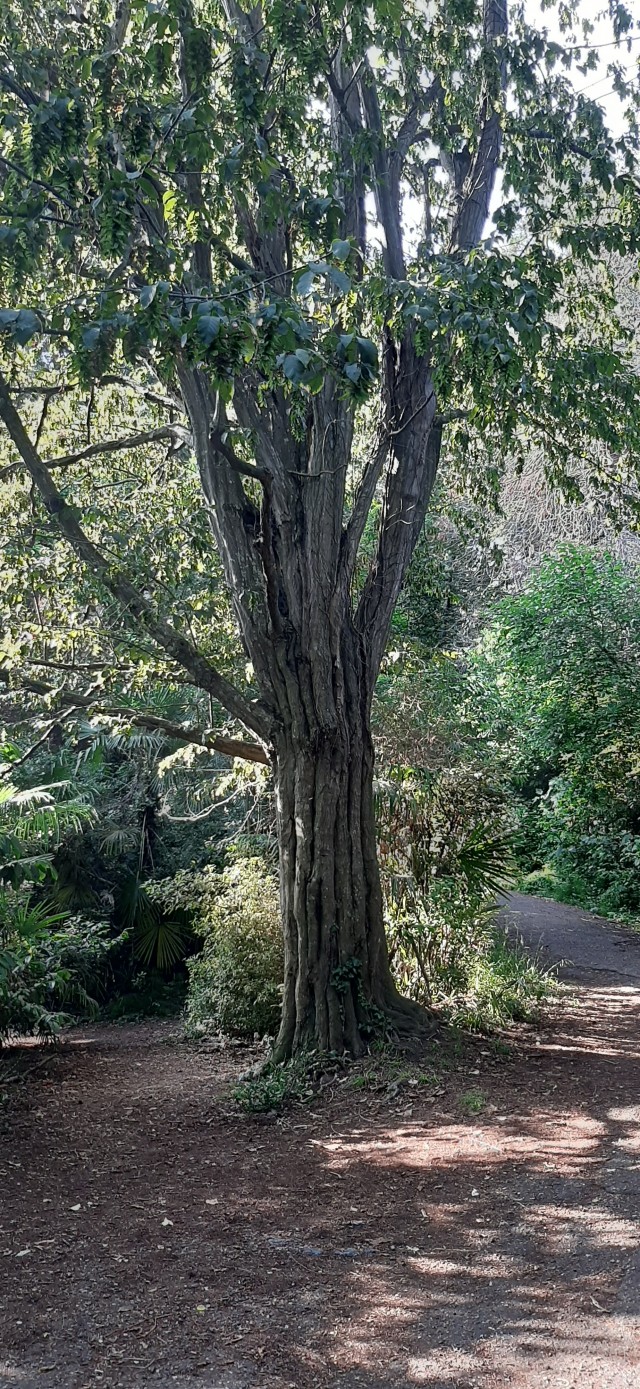 Заброшенка