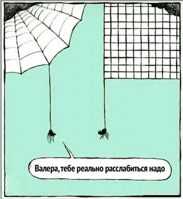 Победная поступь идиотизма по планете – том 12
