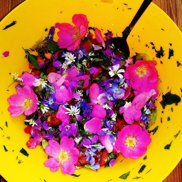 Уральское лето моими глазами