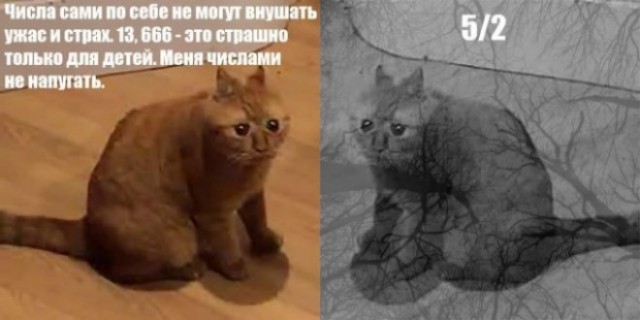 45 пятничных картинок 28.07.2023