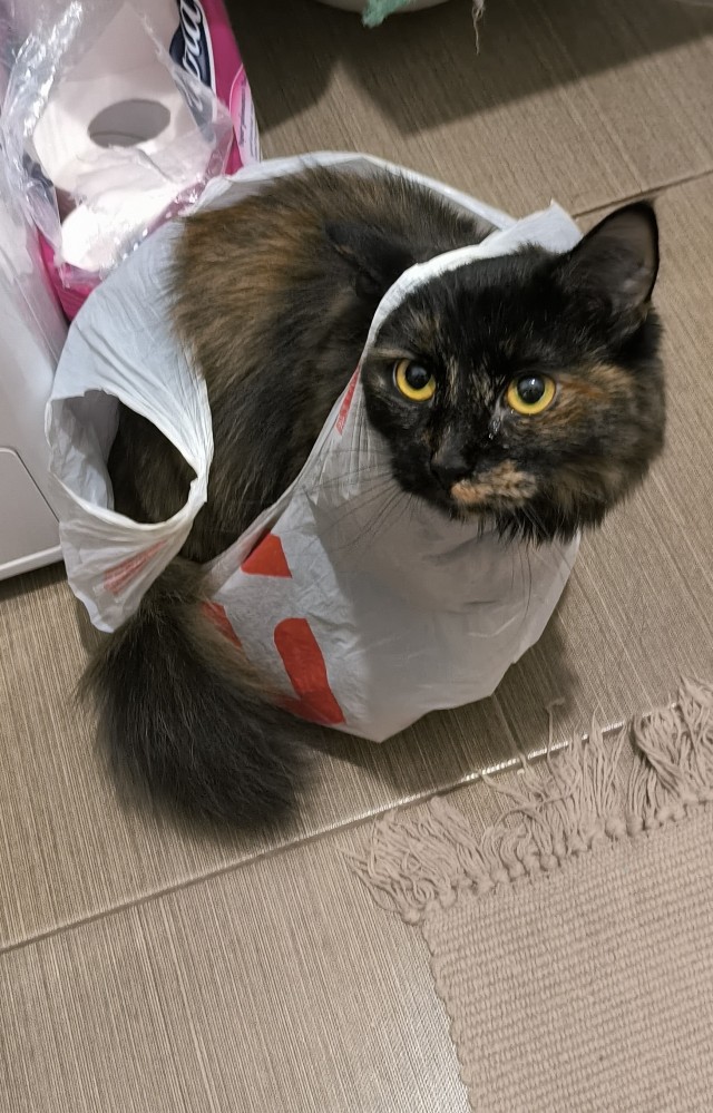 Вот вам ещё милоты