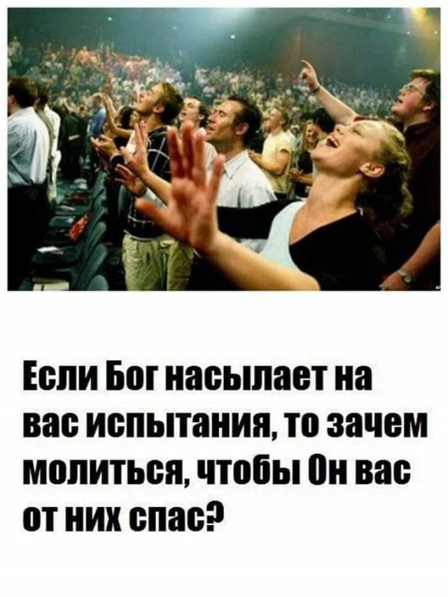 Слава богу, я безбожник #7