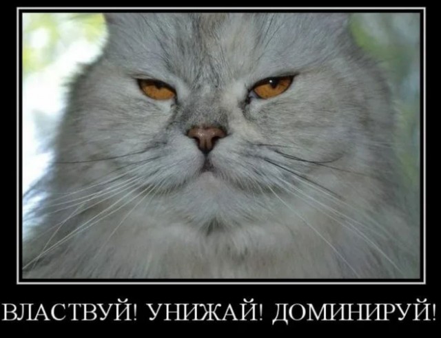 Рязань - Сасово из кабины машиниста