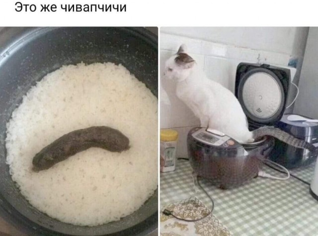 Субботнее улыбательное