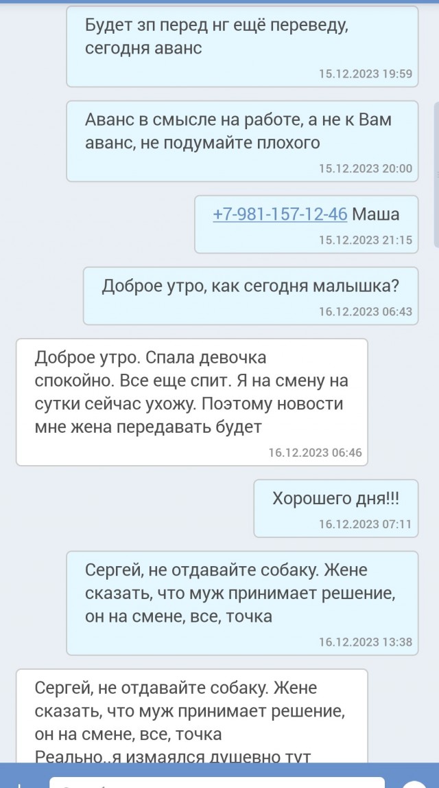Собакочетверг или как я стал приемным папой
