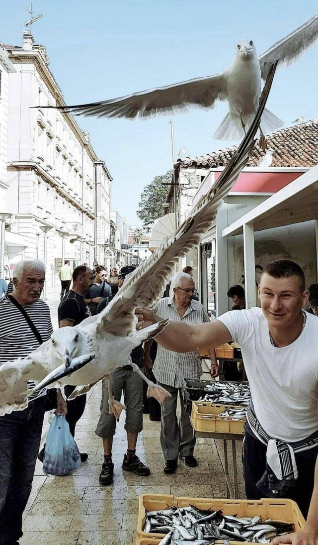 ФотоВинегрет
