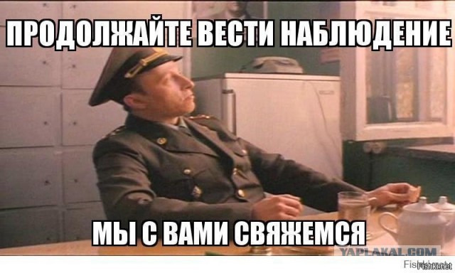 Котёночек опухает. Требуется совет.