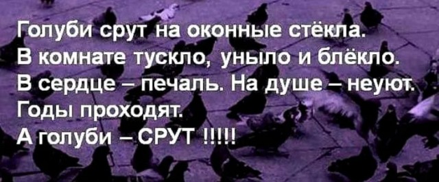 Голубов, бросай Пахачи и в Питер
