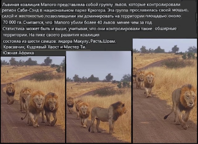 Картинки разные с надписями и без