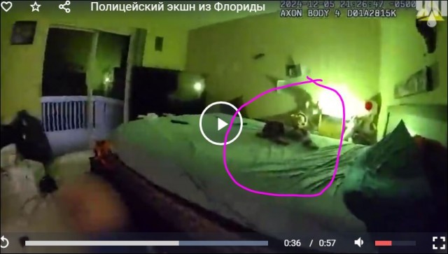 Полицейский экшн из Флориды