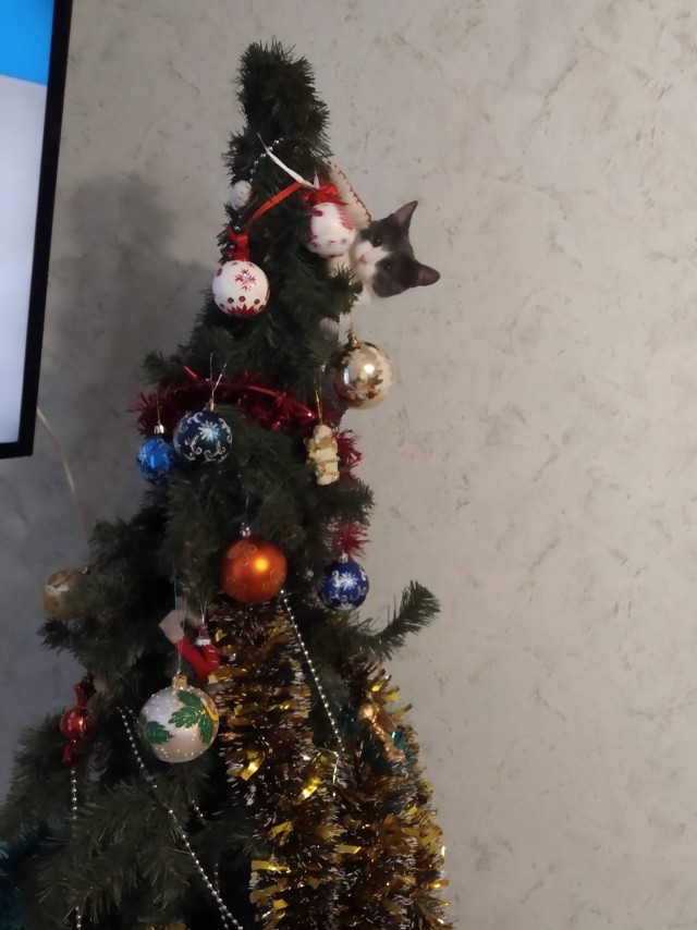 Миссия выполнена