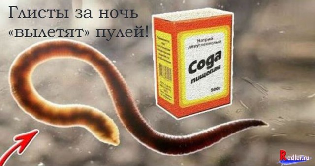 Ученые растопили 46 000-летний лед — и из него выбрался живой давно мертвый червь