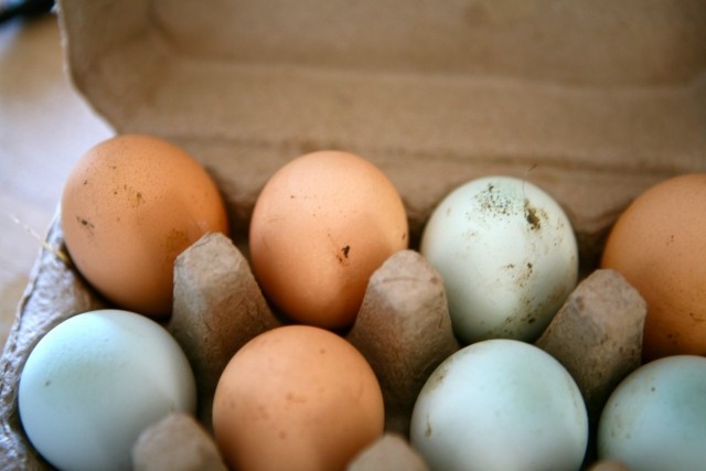 А вы моете яйца ?