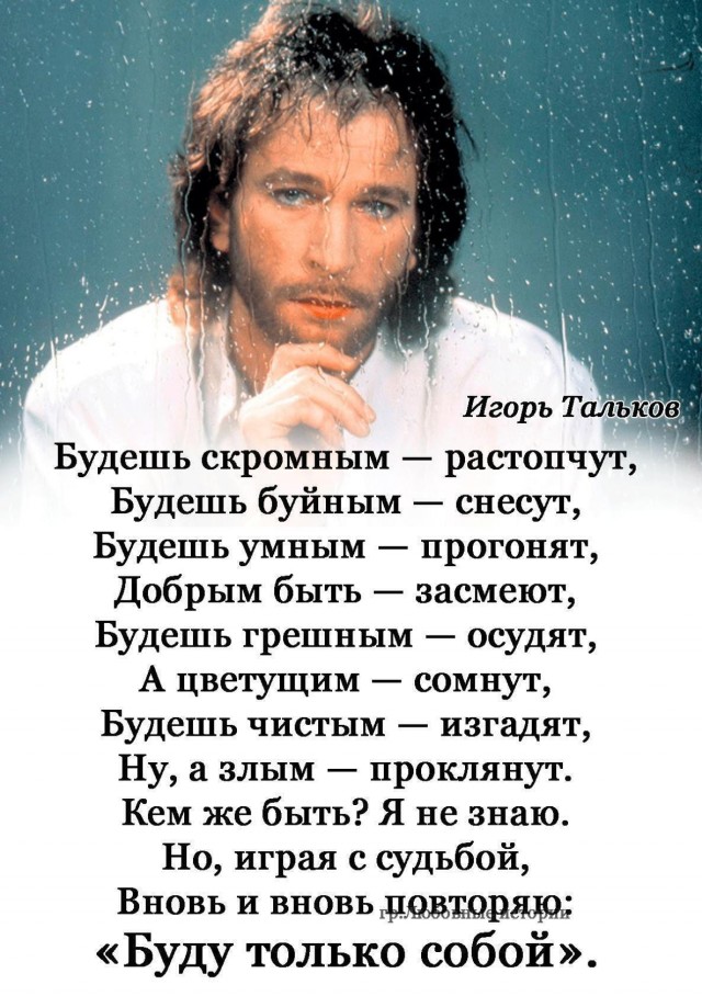 Так себе картинки 27.02.25