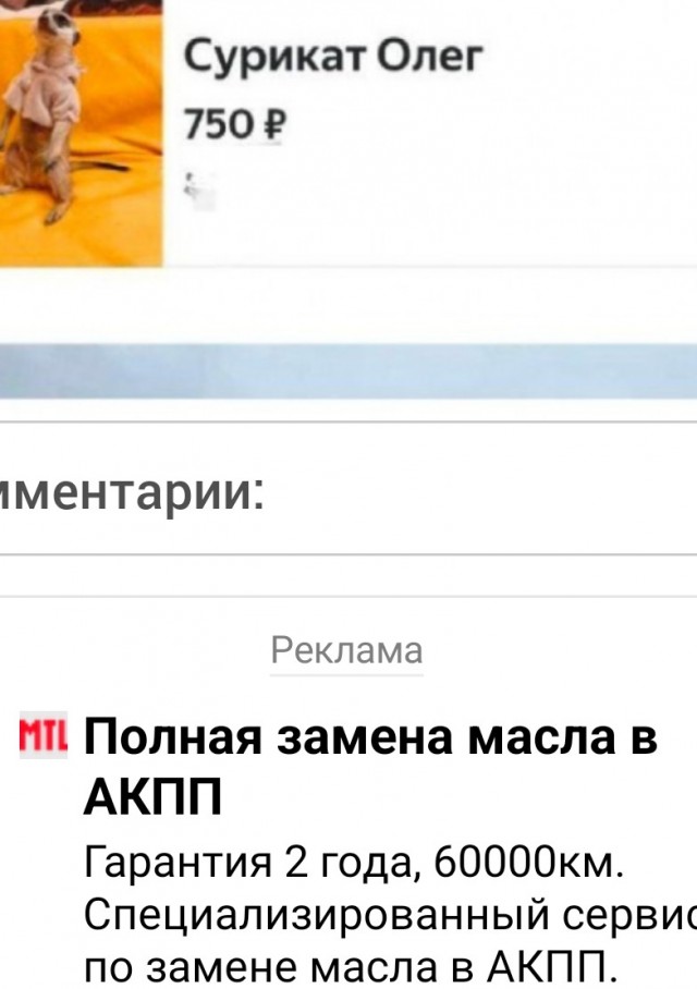 Хорошего суриката Олегом не назовут