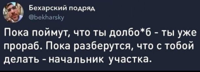 «А кто будет учить эти 100 тысяч инженеров?!» Когда в России синие воротнички реально станут популярнее курьеров