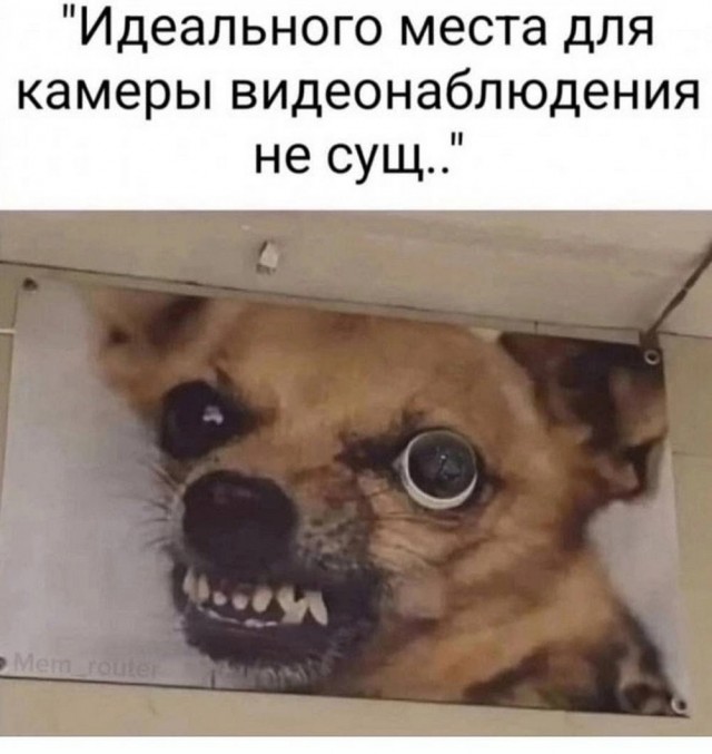 Гнездо параноика (Бояны)
