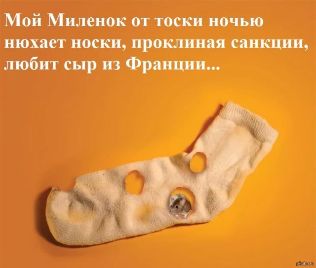Разница между сырами