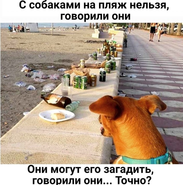 Отсутствие морально этических норм Vol.16