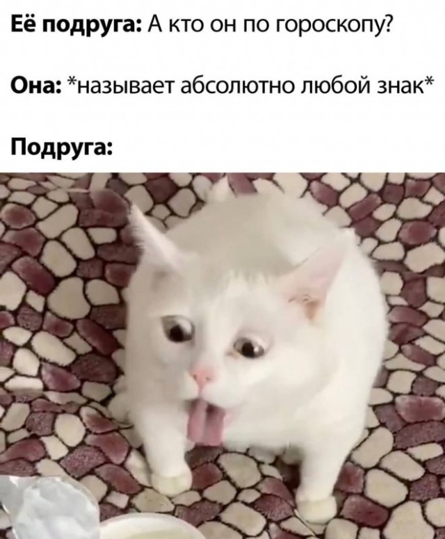 Веселые картинки в понедельник (12.05)