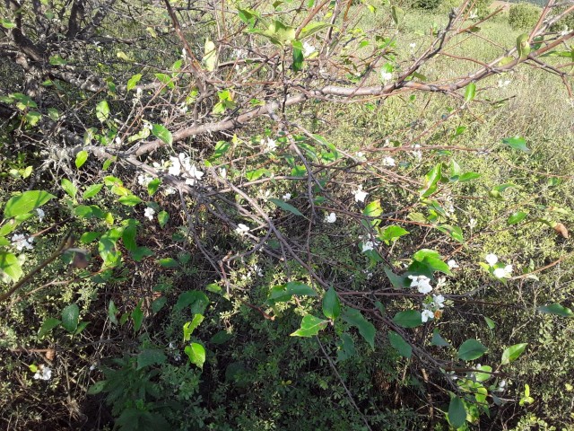 К чему бы это?