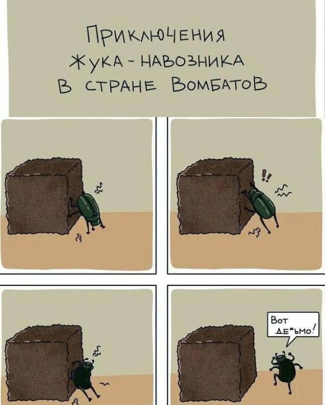 Веселые картинки в понедельник (18.08)