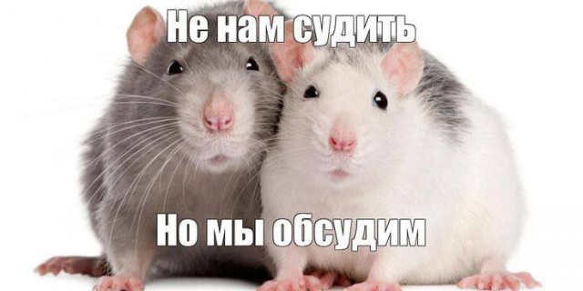 Неделю ждет помощи: как пытаются спасти застрявшую на пике Победы россиянку