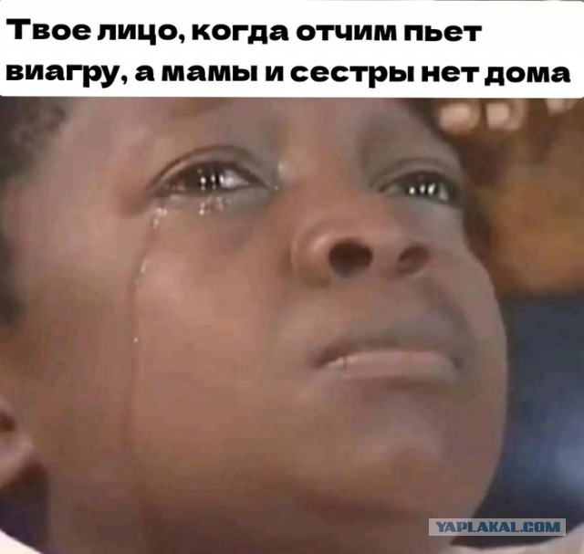 Дичь